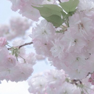 应城福瑞交流群